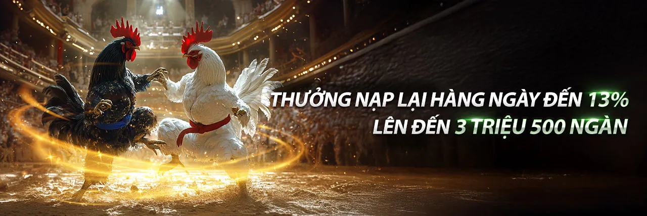 Đá gà trực tuyến vin68 với trận đấu kịch tính