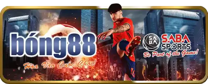 Trụ sở quốc tế và giấy phép hoạt động của vin68